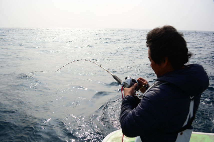 豊田沖堤防で釣れた5kg級のヒラマサ